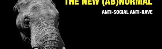 The New (Ab)Normal am 22.05.2020 @ Black Market