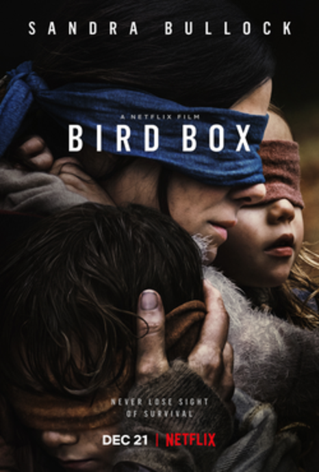 1588761274 bird box c netflix