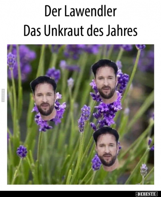 1582733415 wendler7